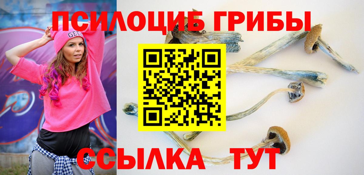 Галлюциногенные грибы Psilocybe  Вход с VPN  Карпинск 