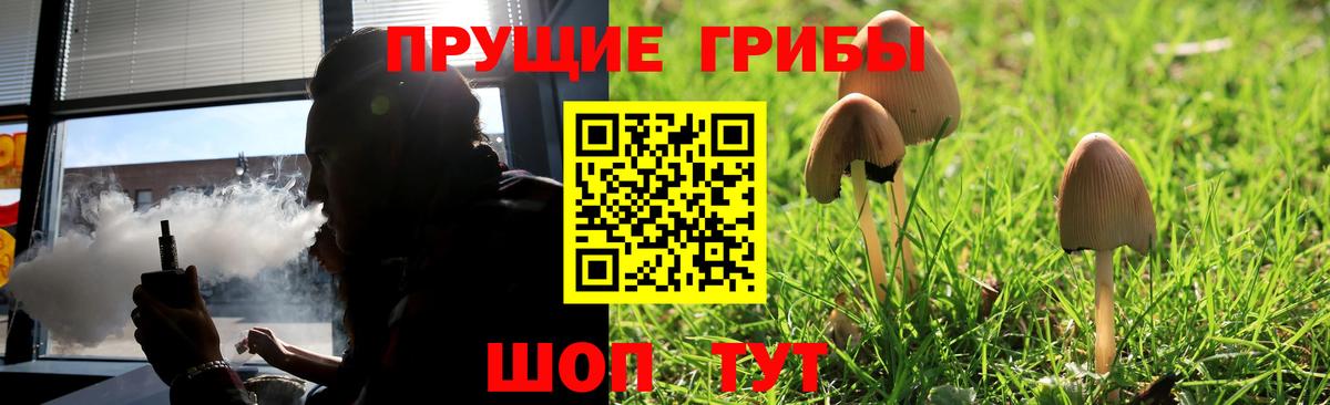 Псилоцибиновые грибы ЛСД Карпинск